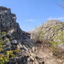 운문사정류장 이미지