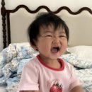 밝음어린이집 | 12개월 아기 어린이집 입소 상담 기록.가장 중요한건 엄마의 마음가짐. 난 아직 어린이집에 보내고 싶지...