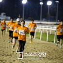 경주로 이미지