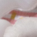 해피 댕 데이 이미지