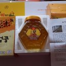 용진사