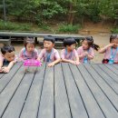 어울림숲어린이집 이미지