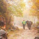 상구목장 이미지