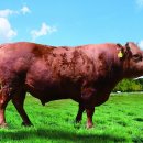 덕풍농장 이미지