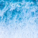 지금여기에 이미지