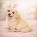 오케이참병원 앞 | 성남 오케이 재활운동센터에서 체형 교정 받은 후기