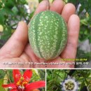 비티 이미지