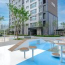 더 퍼스트 이미지