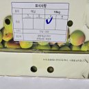 품질좋은 홍매실 남고 판매합니다. 이미지