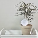 블루문디자인랩 이미지