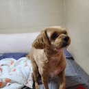 기가찬참숯민물장어 이미지