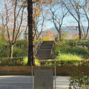 [도곡] 데이트하기 좋은 양재천 뷰 ‘플로렛플라워카페’ 내돈내산