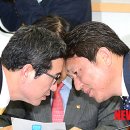 최의안 이미지
