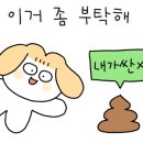 수복캠핑장