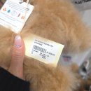 마메르시 | 프랑스 파리 메르시 2호점 가격ㅣ파리쇼핑리스트 메르시 에코백