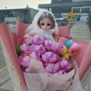 경희숲유치원 이미지