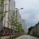 북구-11(금곡대로) 이미지