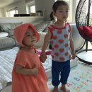 금당농장 이미지