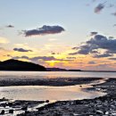 도리포민박 이미지