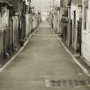 송포양계 이미지