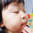 길상 농원 제주 한라봉인터넷구매 첫 후기