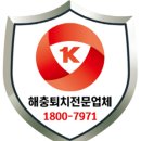 양산독케어 이미지