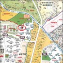 숲속마을로 이미지