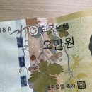 농협은행 상대동지점 앞 | 지폐 훼손 찢어짐 은행 방문 교환후기