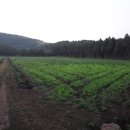 부영pc랜드 이미지