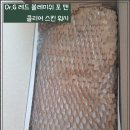 지-워시(G-WASH) 이미지