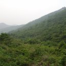 고성사방댐 이미지