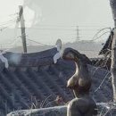 익산카페청풍명월