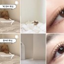 도동천로 | 진주 상대동 슈가링 잘하는 곳| 상대동 리비지트 후기