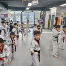 용인대 제일 태권도장 이미지