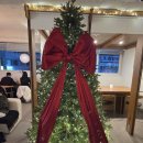 카페그림 | 춘천 이색카페 바티스트 아트하우스｜커피 마시며 그림 그리는 미술카페 후기