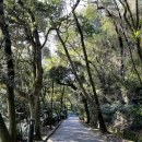 천지연산책로(폭포안) | 제주도 한달살기 13일차 :: 산책하는 힐링코스로 찰떡인 천지연폭포 (feat. 입장료, 유모차대여 정보)