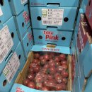 (주)이마트에브리데이 의정부호원점 | 샐러드에 이것만 바꿨는데 코스트코 실키핑크토마토 맛 뭐죠 진짜