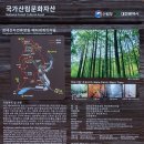 전라도 늦가을 여행 8 - 무성서원, 김명관고택, 익산미륵사지석탑, 장태산자연휴양림