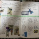 백은경내과의원 이미지