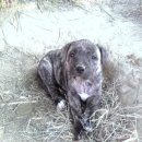 월향농장 이미지