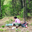 홍익아파트(종합운동장방향) 이미지