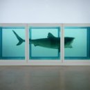 종로-연건-종로-연-217 | "예술인가, 쇼인가?" : 논란 자체를 전시한다.-데미안 허스트(Damien Hirst)