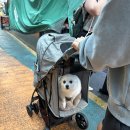 일상(日常) 그 그 | 楽しい日常