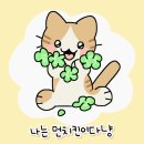 고야미 이미지
