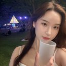 봄내에어하우스(AIRHOUSE) | 2025 디에어하우스(The airhouse) 페스티벌 2박3일 후기