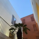 더 다온 이미지