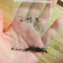 레디쉬 휴 네이버블로그