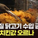 오늘카츠