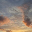 스테이레이어 이미지