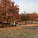 논현포대 이미지